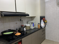 Blk 298B Compassvale Street (Sengkang), HDB 5 Rooms #320391041